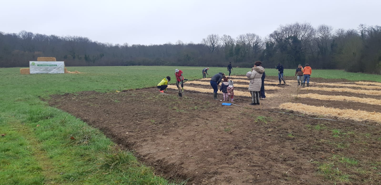 PHOTO 2023 02 06 11 55 31 5