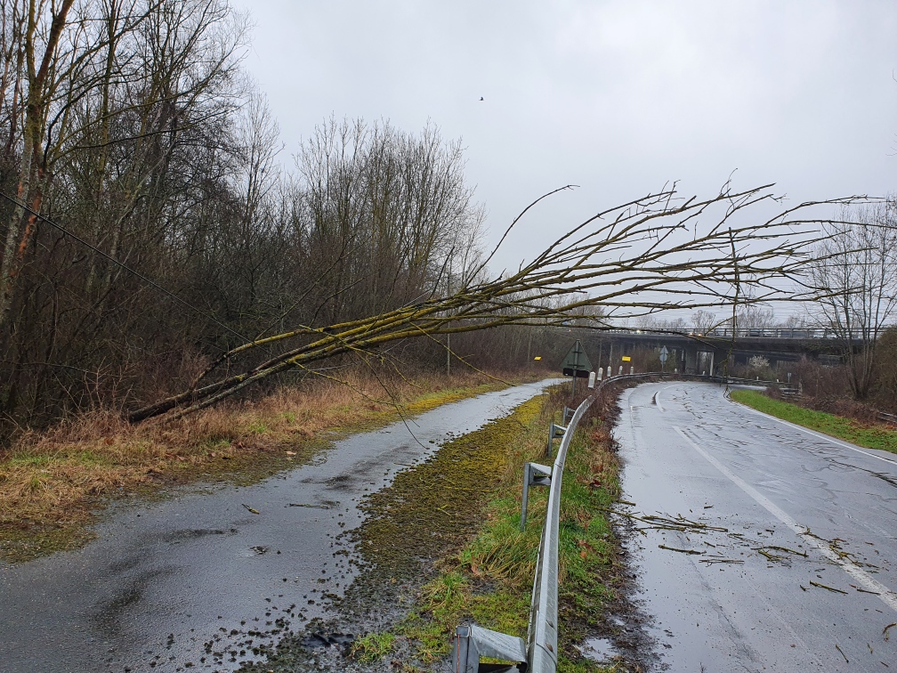 Resized 20230310 085711