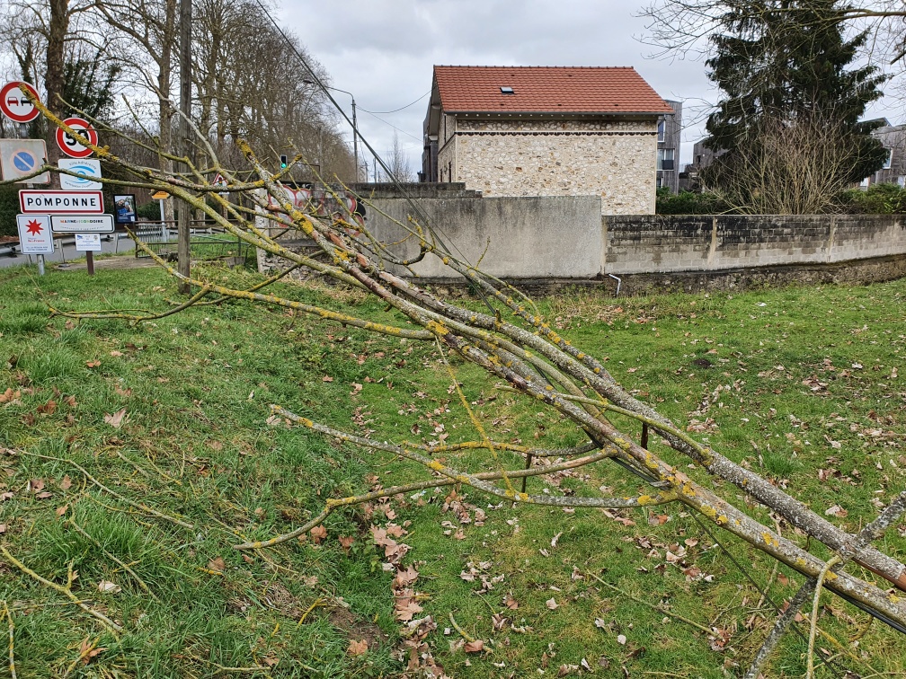 Resized 20230310 144133