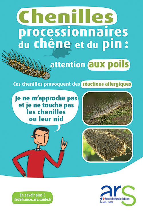 affiche chenilles 1