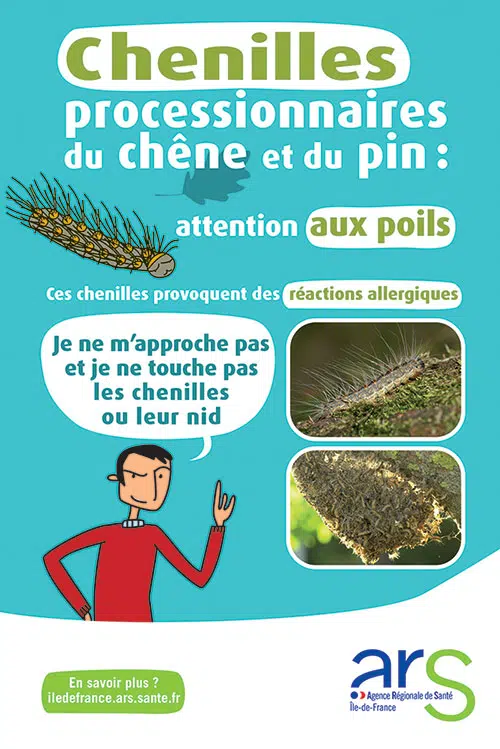 affiche chenilles 1