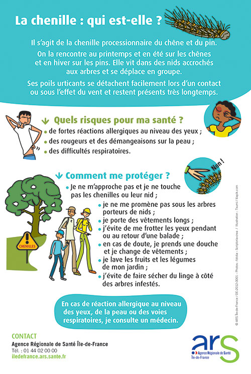 affiche chenilles 2