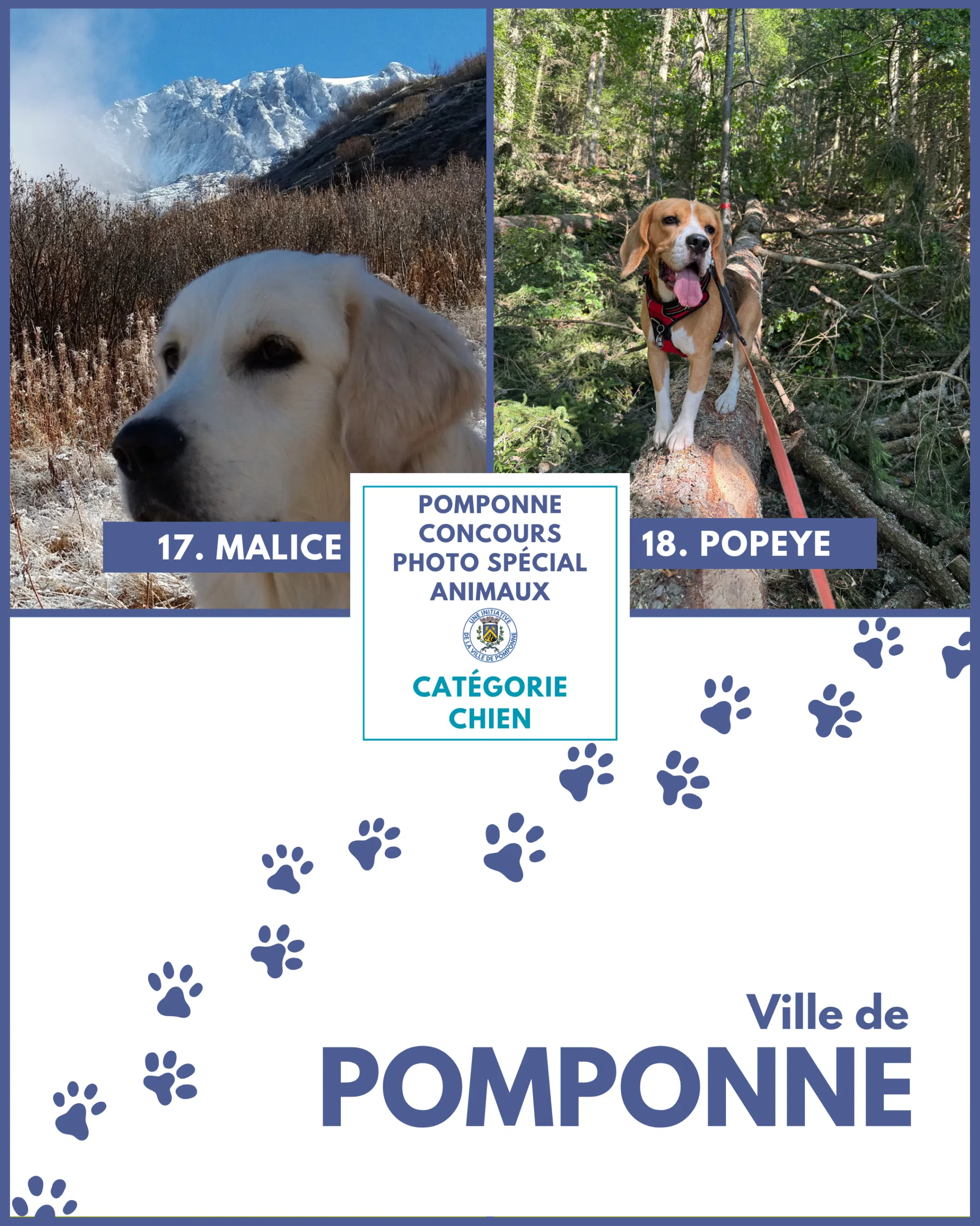 Planche chiens 5