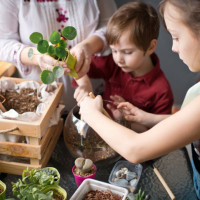 Je fabrique mon terrarium upcycling