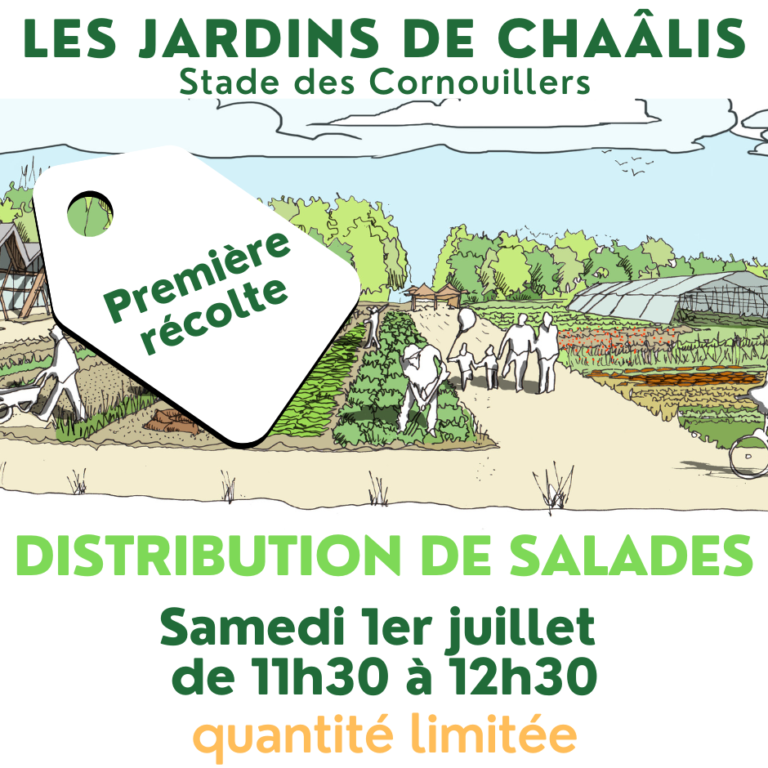 Affiche-salades