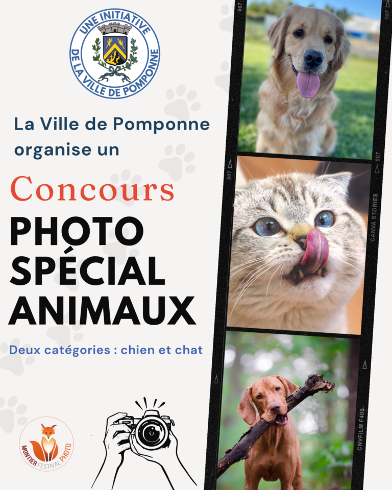 Concours-photos-mon-animal-Publication-Instagram-45