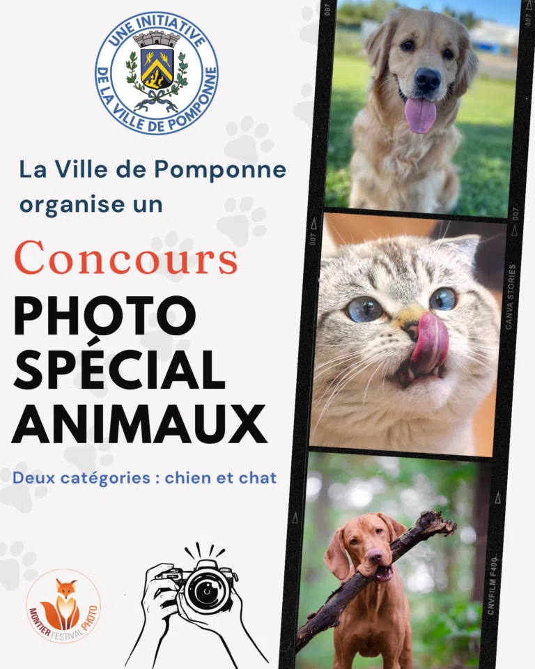 Concours-photos-mon-animal-Publication-Instagram-45