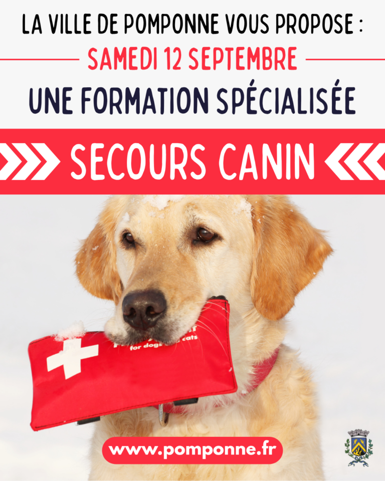 Formation-secours-canin