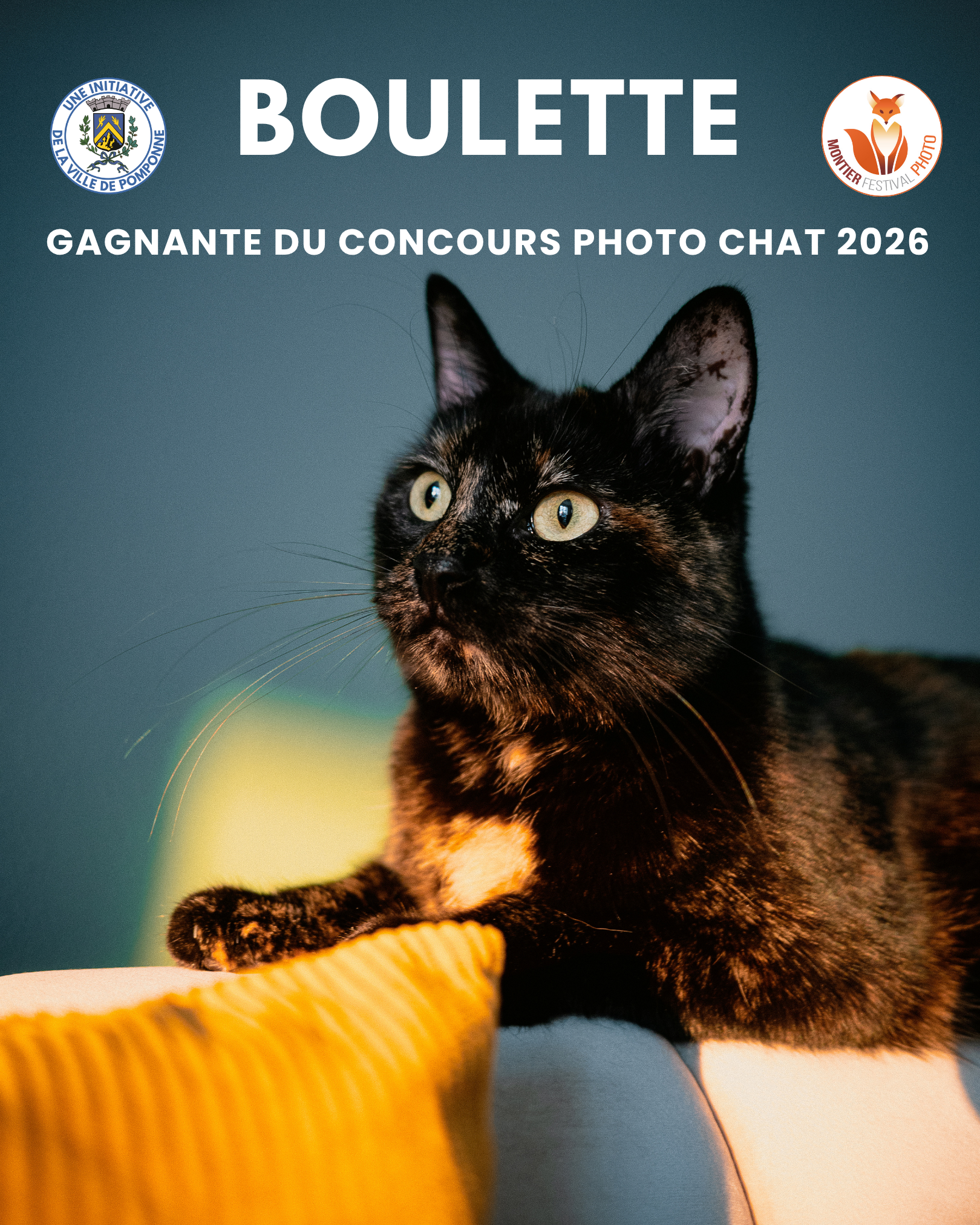 Gagnant chat 2026
