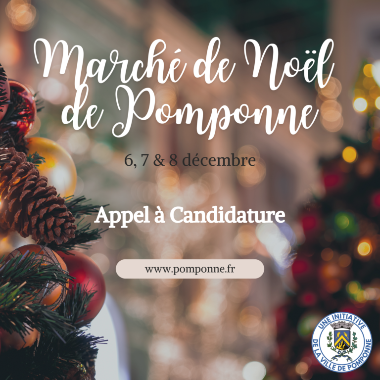 Marche-noel-candidature