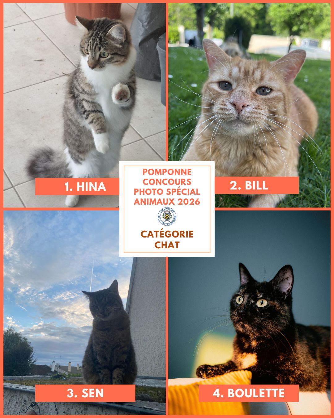 Planche chats 1