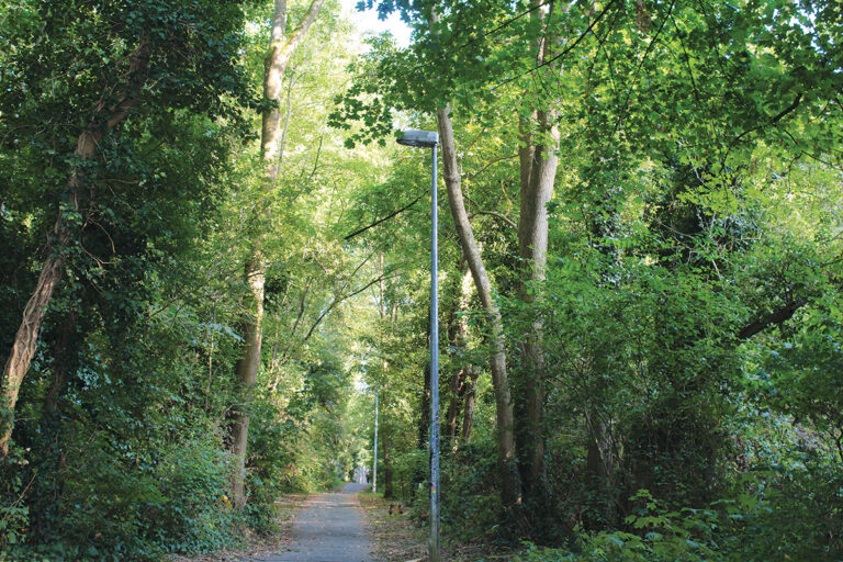 eclairage-sente-1