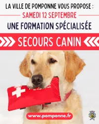 Formation secours canin - samedi 12 septembre